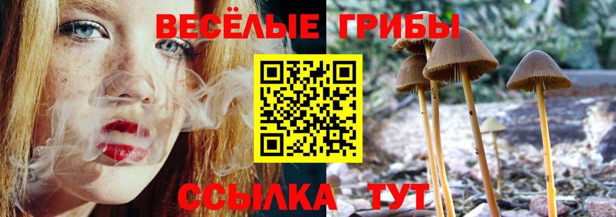 Галлюциногенные грибы GOLDEN TEACHER Октябрьский