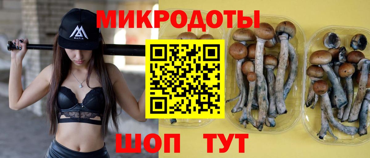 Октябрьский  Псилоцибиновые грибы мухоморы  Вход с VPN 